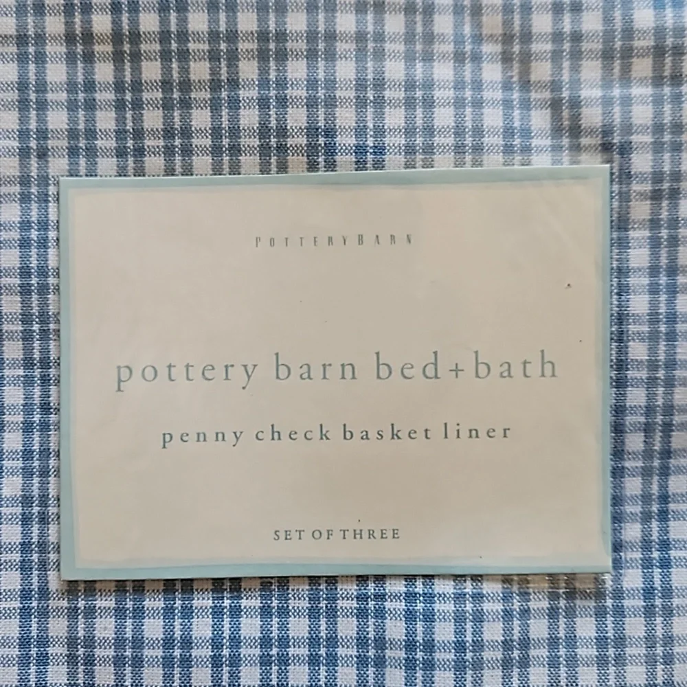 Pottery Barn penny check basket liner